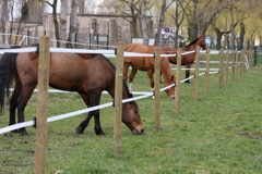 installations_paddocks